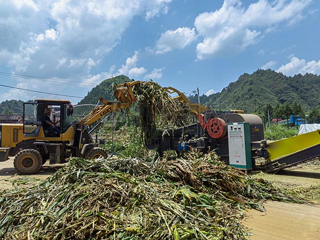 秸稈青貯粉碎機是制作優質青貯飼料首選設備